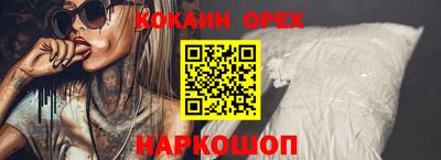 спайс Кингисепп
