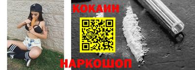 спайс Кингисепп
