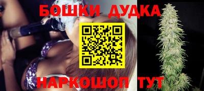спайс Кингисепп