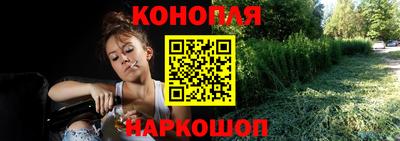 спайс Кингисепп