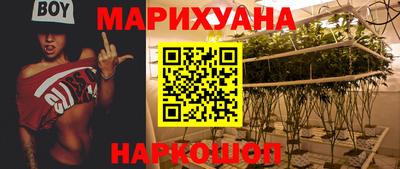сатива Кинель