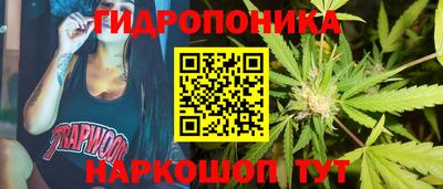 спайс Кингисепп