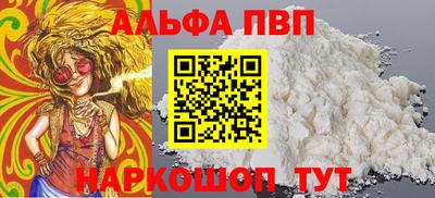 спайс Кингисепп
