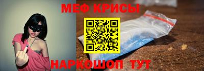 спайс Кингисепп